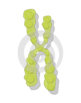 Stylized genetic 3d icons. genome DNA isolated on white background. genome sequence. vector illustration.