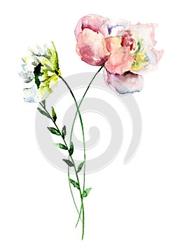 Stylized Gerber and Peony flowers