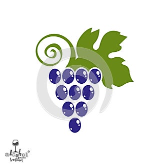 Stylized grape vine vector illustration. Winery symbol