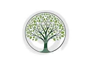 Stylized graphic of a tree enclosed