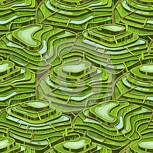 Stylized Green Terraced Rice Fields Pattern