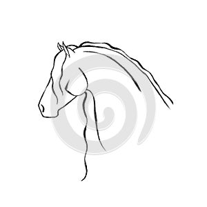 Stylized Hand Drawn Friesian Horse photo