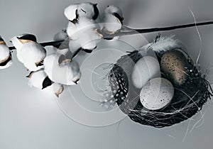 Stylized Happy Easter card,  closeup  with beige and white eggs in nest ,white feathers, straw