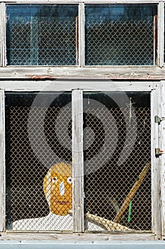 A stylized human face looks out of a window covered by a wire mesh