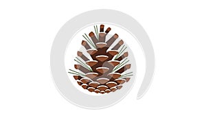 Cone is centered against a plain white background emphasizing its shape