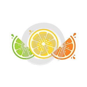 Fresh Citrus Splash â Lime, Lemon, and Orange Minimalist Illustration