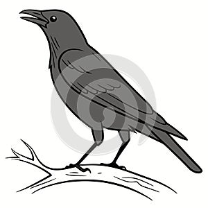 Cartoon Crow on a Branch