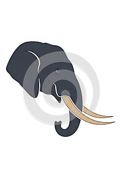 Stylized illustration of an elephant head featuring a minimalistic