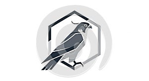 Stylized illustration of a hawk within