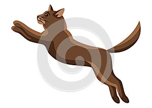 Stylized illustration of jumping cat.