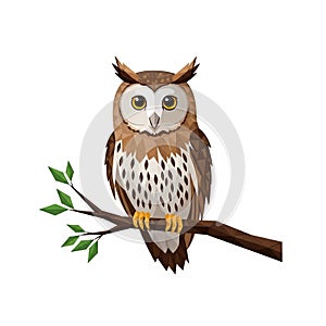 Stylized illustration of an owl with