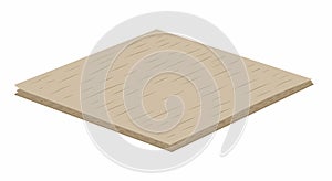 Plywood Panel Illustration