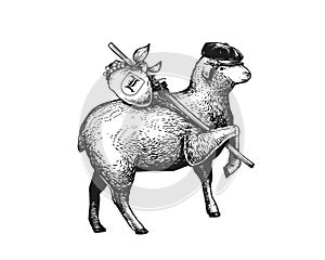 Stylized Illustration of the vagabond sheep wearing a cap on his headher head. Wandering Sheep with a bundle on a stick