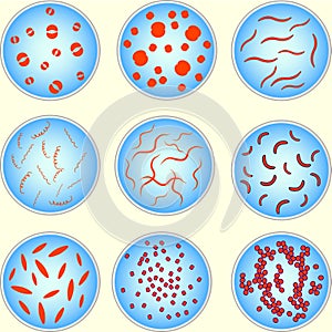 Stylized image of bacteria under microscope