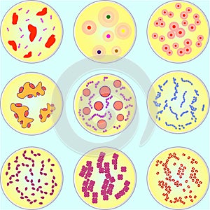 Stylized image of different types of bacteria