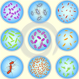 Stylized image of different types of bacteria