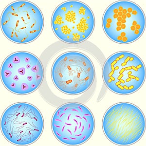 Stylized image of different types of bacteria