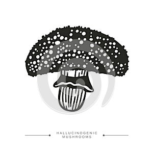 A stylized image of a psilocybin mushroom. Black and white drawing of a hallucinogenic mushroom. Vector illustration