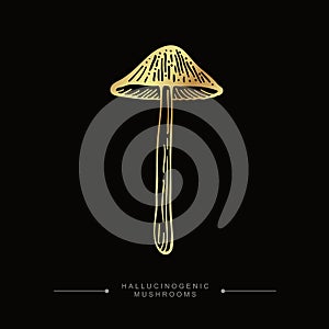 A stylized image of a psilocybin mushroom. Golden drawing of hallucinogenic mushroom. Hand drawn toadstool concept. Fly agaric