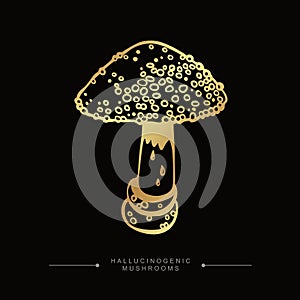 A stylized image of a psilocybin mushroom. Hand drawn toadstool concept. Golden drawing of hallucinogenic mushroom. Fly agaric