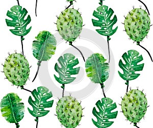 Watercolor pattern of monstera leaves and cacti photo