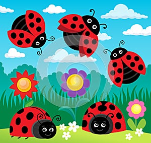 Stylized ladybugs theme image 4