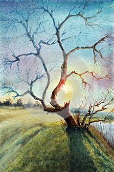 Stylized landscape with single tree on the front with sunrise colors. Hand drawn watercolors on paper textures. Raster bitmap