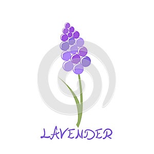 Stylized lavender icon