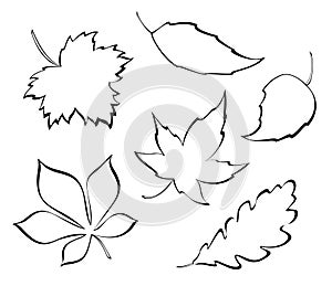 Stylized leaves