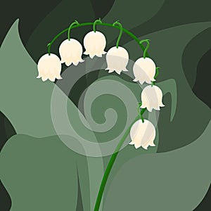 Stylized lily of the valley illustration