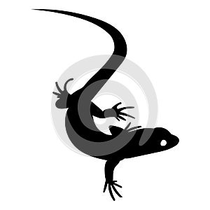 Stylized lizard. Black white reptile illustration. Vector logo lizards. Tattoo.