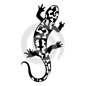 Stylized lizard. Black white reptile illustration. Vector logo lizards. Tattoo.