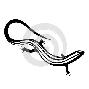 Stylized lizard. Black white reptile illustration. Vector logo lizards. Tattoo.