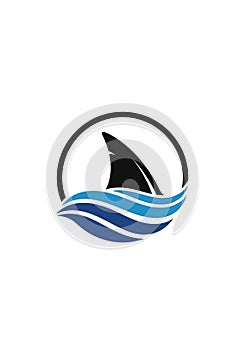 Is set against a plain white background, emphasizing the bold