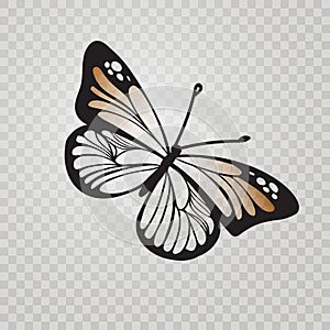 Stylized Monarch Butterfly black line icon isolated on transparent background