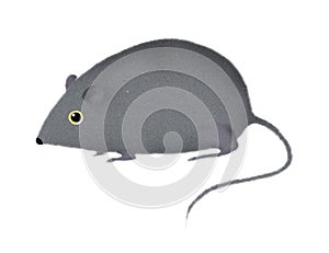 Stylized mouse or rat