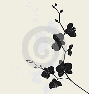 Stylized orchid branch