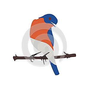 Stylized Oriole bird on a tree branch, vector flat