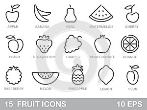 Stylized outlines of fruit. Vector icons photo
