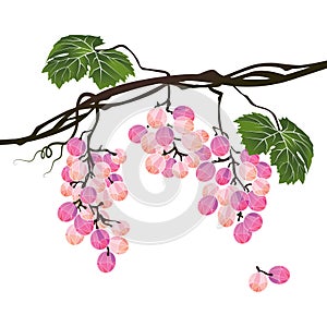 Stylized polygonal branch rose grapes
