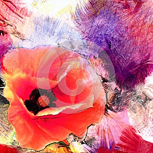 Stylized poppy flower on grunge striped and stained  colorful background