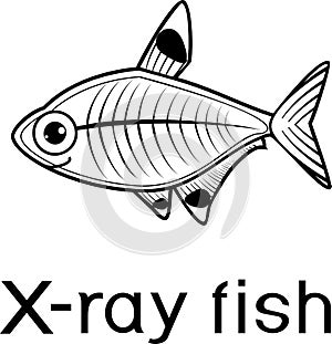 Stylized X-ray fish or Pristella maxillaris coloring page with title