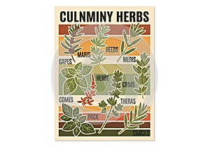 Stylized representations of various herbs arranged in rows against a