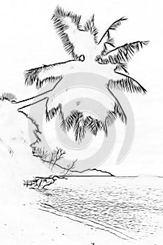 Stylized silhouette of palm on a tropical beach. Outline sketch