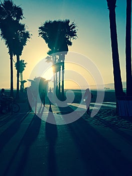 Stylized silhouette photo of palm trees at sunset at Venice Beach USA