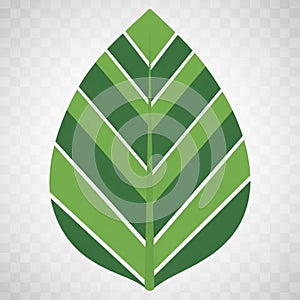 A stylized symmetrical illustration of a leaf with a geometric pattern