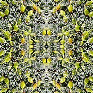 Stylized texture. Futuristic seamless pattern of mosses. Moss in early spring on sandstone. Prints for web design. Printing on