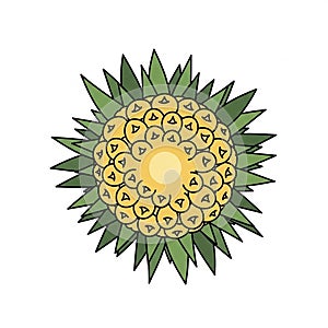 A stylized, top-view illustration of a