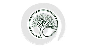 A stylized tree graphic enclosed within a circle. The tree features numerous branches without