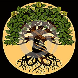 stylized tree with roots